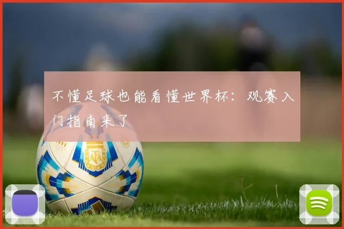 不懂足球也能看懂世界杯：观赛入门指南来了
